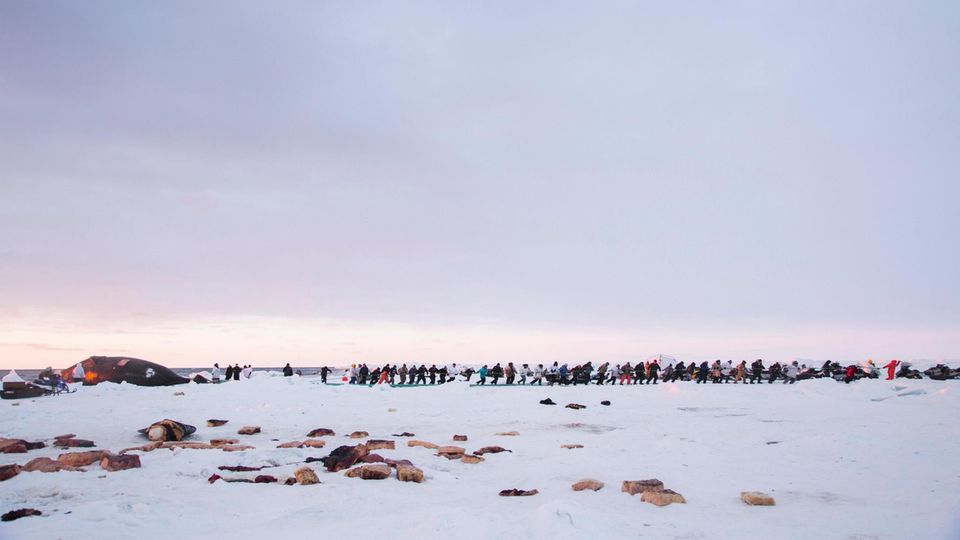 Die Bewohner von Utqiagvik ziehen einen Grönlandwal an Land