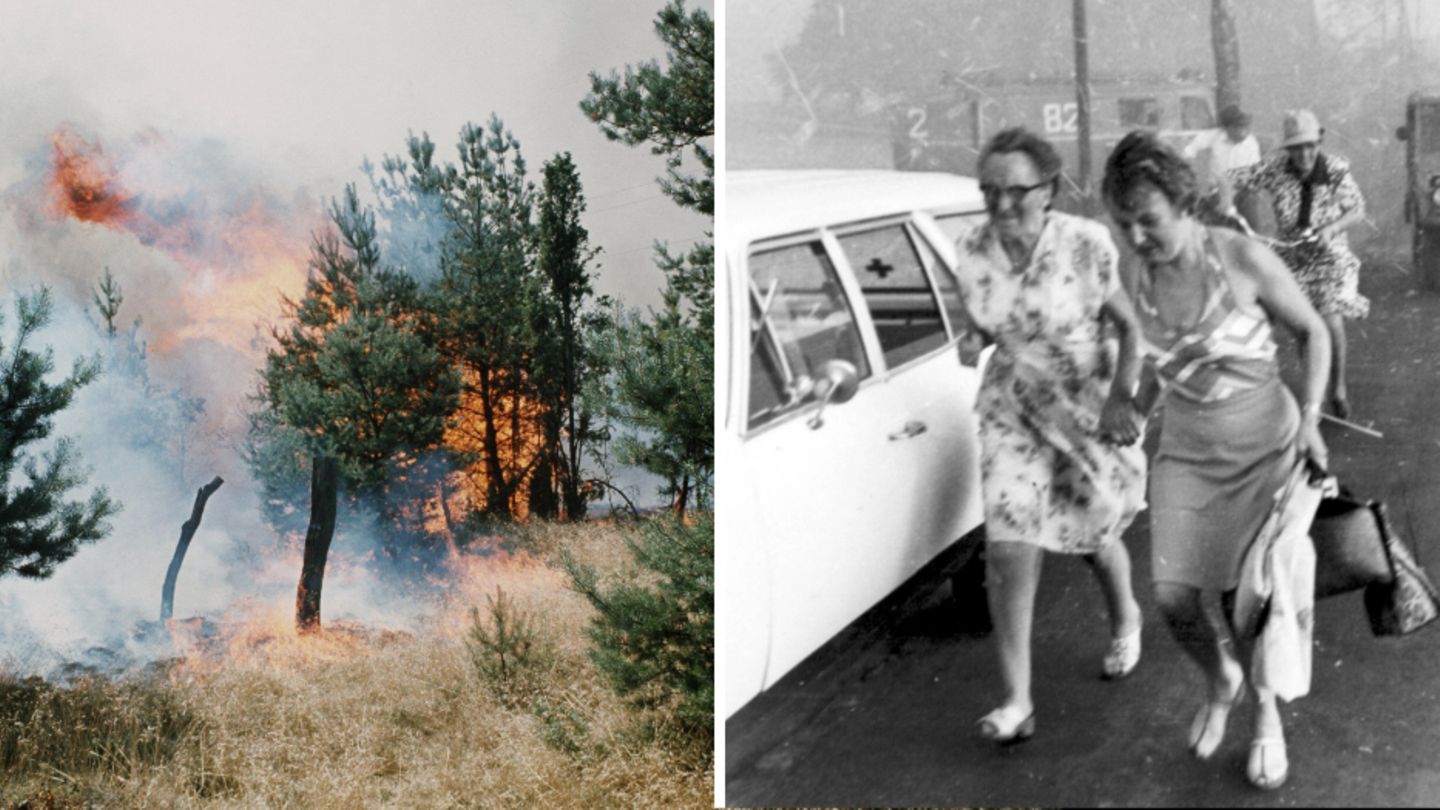 Gut eine Woche lang hatten im August 1975 in der Lüneburger Heide die Flammen gewütet