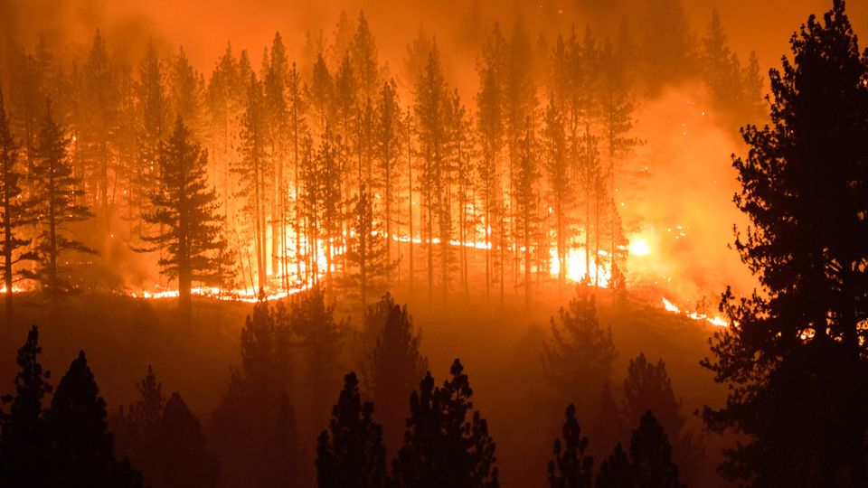 Waldbrände im Juli in Kalifornien