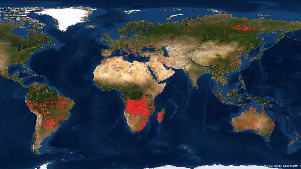 Hier sieht man das Flammeninferno vom 8. August 2021 weltweit. Jeder rote Punkt ist ein Brandherd. Die Nasa hat Satellitendaten auf einer Weltkarte auf ihrem frei zugänglichen Server FIRMS zusammengeführt. Das steht für "Fire Information for Ressource Management" und soll einen Überblick über die Waldbrandlage verschaffen.